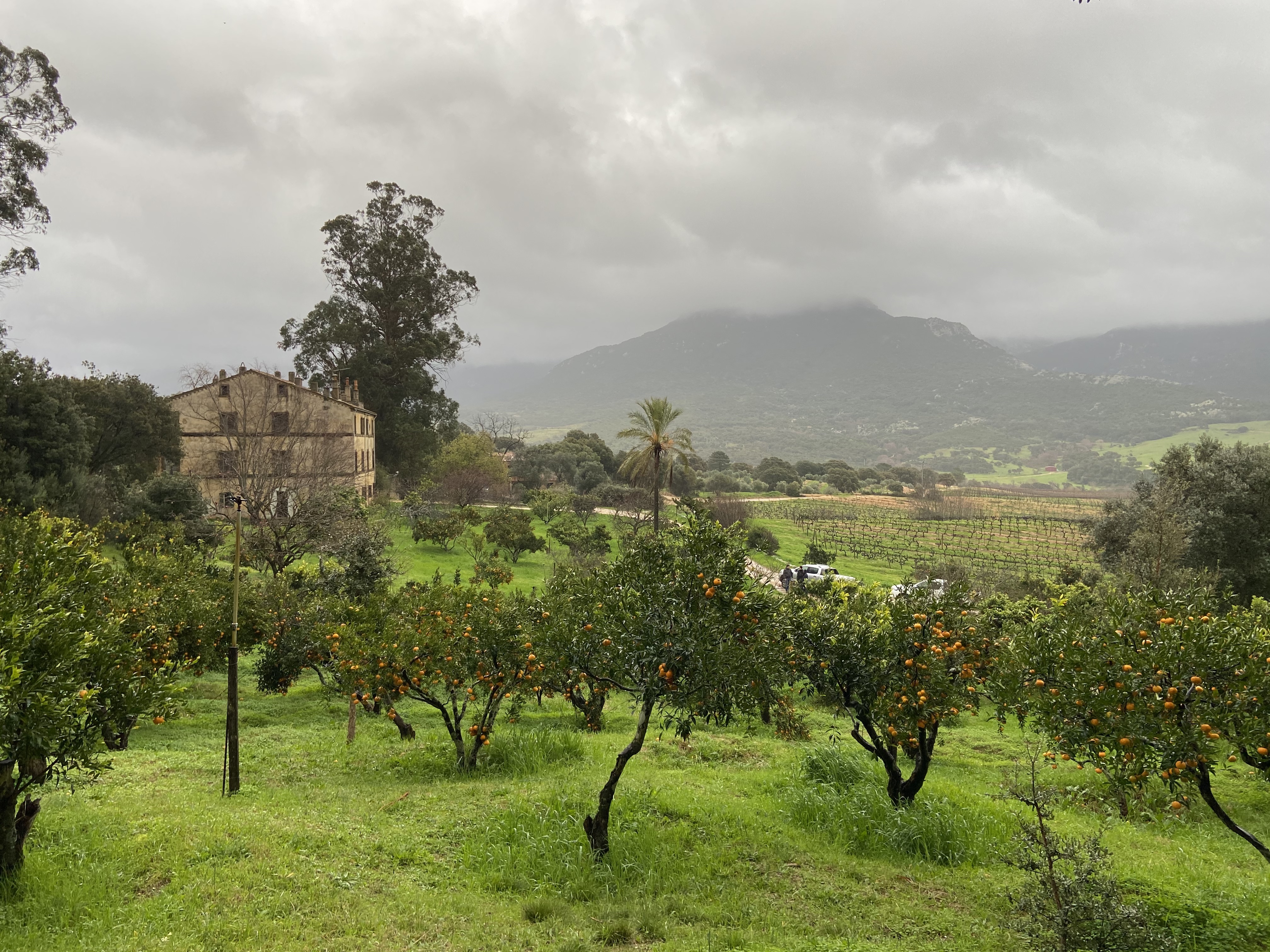 Domaine Saparale. les bains de la renaissance paris architecture belleville Domaine Saparale.