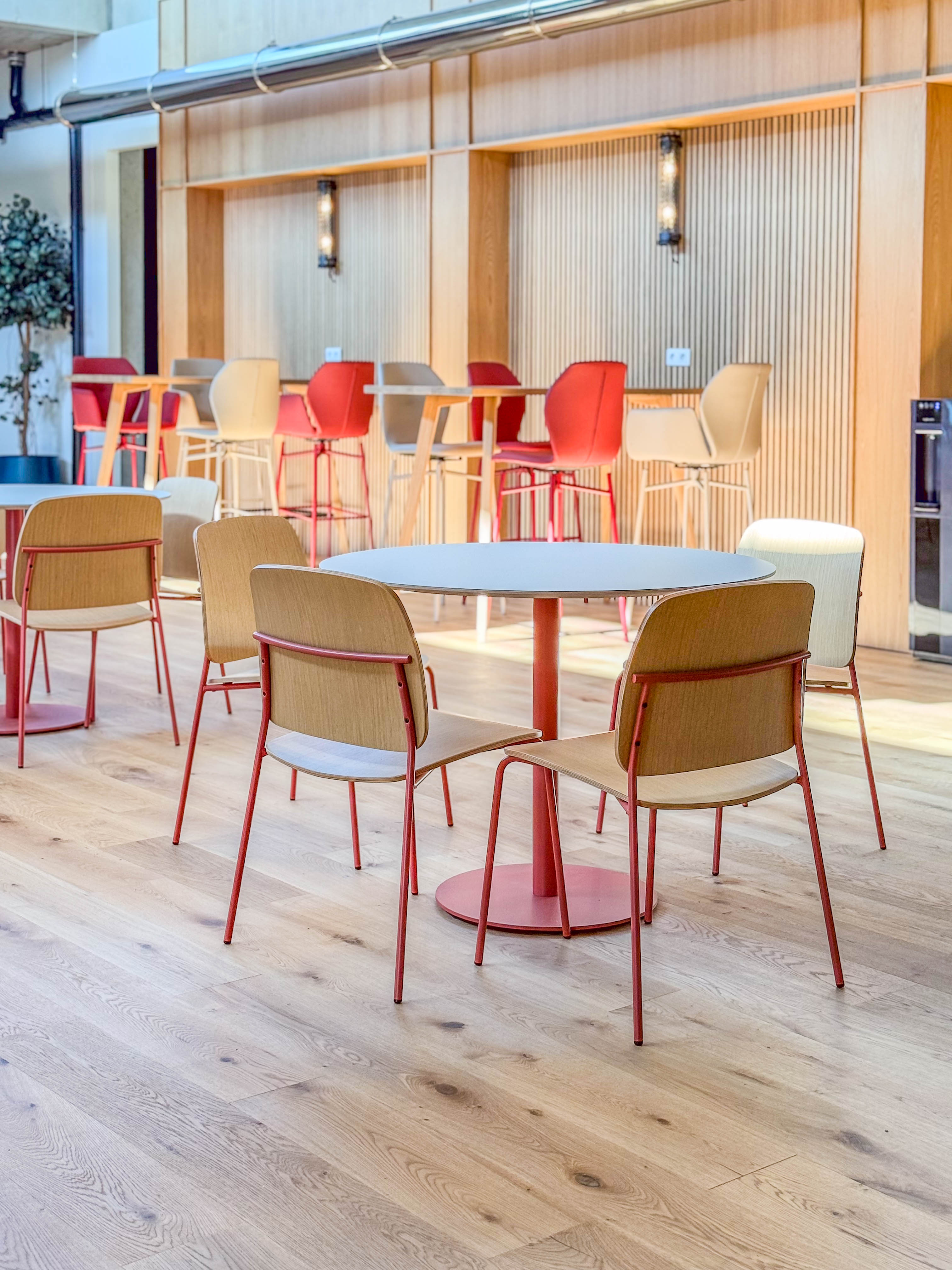 image001.jpg les bains de la renaissance paris architecture belleville 